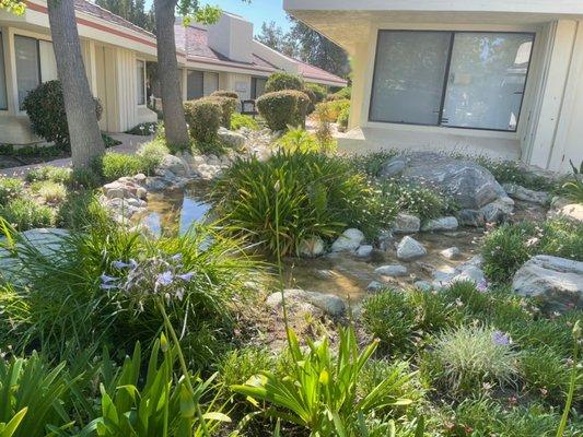 Exterior garden landscape with streaming water