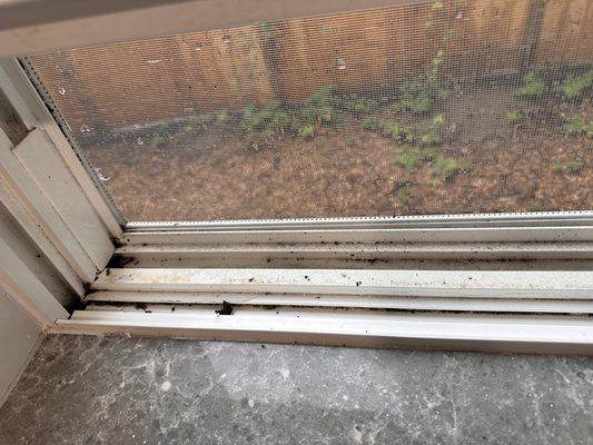 Dirty window sills after the "deep clean"