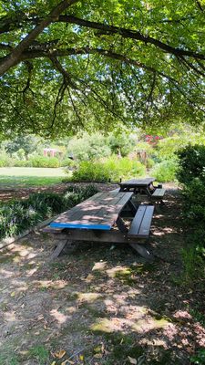 Picnic Tables in shade