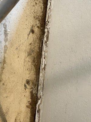 SOME of the termite damage on a property  Terminix has claimed to maintain and give a CLEAN TERMITE REPORT just weeks prior.