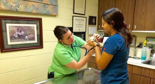 Dr. Farge and Conny with Cinnamon