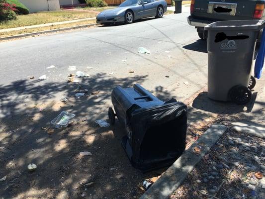 Trash everywhere and like always, blocking the driveway and on it's side.  Seriously, why does this happen every week!