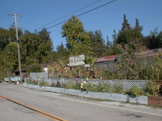 Redwood Nursery