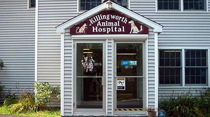 Killingworth Animal Hospital