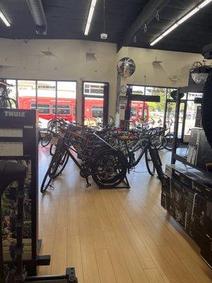 Electric bikes too. Clean store