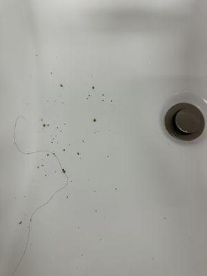 Weed in the sink