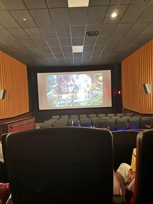 Theater room