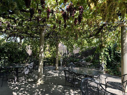 Beautiful seating outside while the grapes in season!