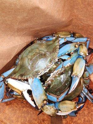 Lafitte's Crawfish