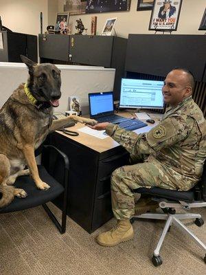 Even dogs join the US Army