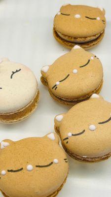 Cat macarons