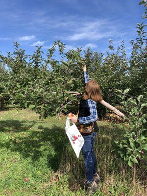 Windy Hill Orchard & Farm Market