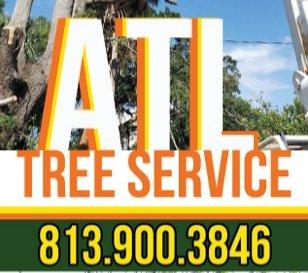 No tree to small and dont wait til they fall just give us a call .