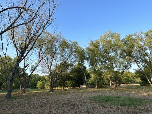 Open space at Hendrick Arnold Park