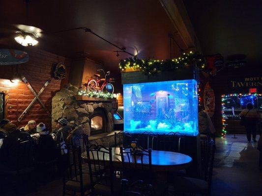 Great stone fireplace and aquarium