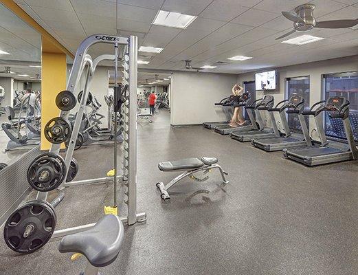 Avalon Heights - Fitness Center