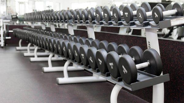 DUMBBELLS RANGING FROM
  2LBS-120LBS