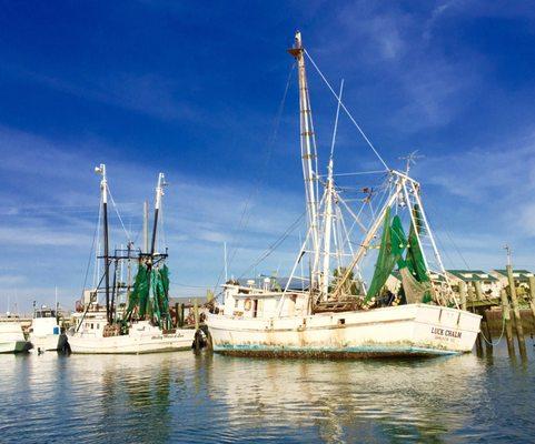 You would be surprised at how many people don't know what type of boats these are!