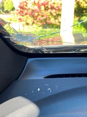 Glass shards on dash..