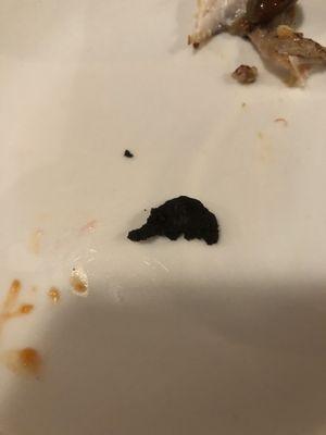 Burnt piece of something on top of the grouper special that came back from the kitchen