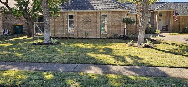 Live Grass Sod Installation - Zoysia