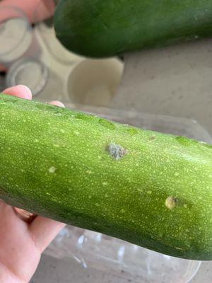 Moldy produce purchased 2 days prior.