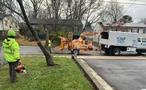 Paulo Landscaping & Tree Removal specializes in stump grinding and tree services, enhancing your landscape with expert removal and trimming!