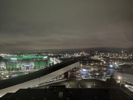 View from Dream Wheel cabin during night ride