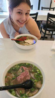 Chicken and Beef Pho