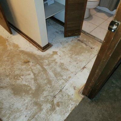 Refresh your bathroom with an updated vinyl plank floor @newgensurfaces.