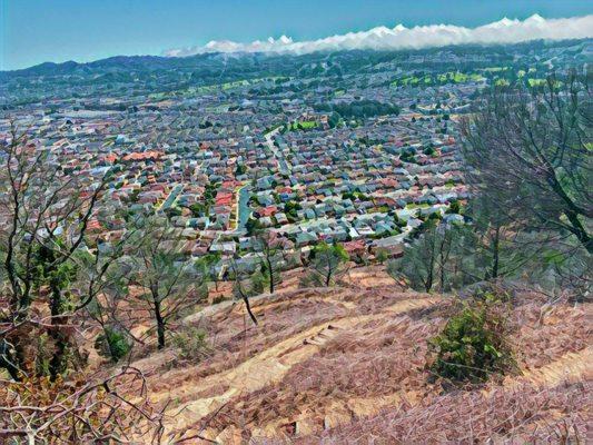 View from Iris Hill Trail