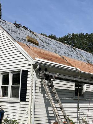 New plywood and guys were careful w gutters and siding