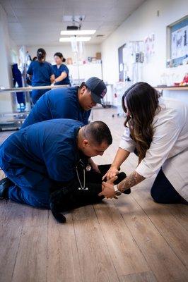 Veterinary Assistant Program