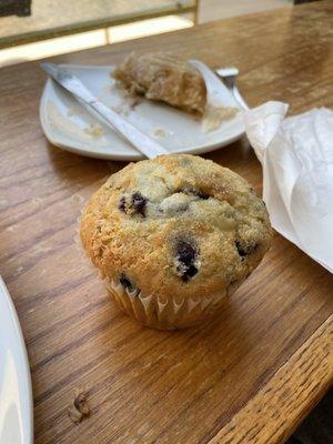 Blueberry muffin