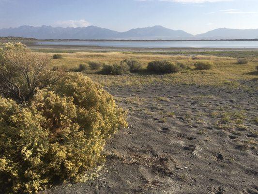 San Luis State Wildlife Area