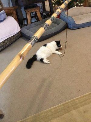 The only thing the bamboo stick I got from Brazsos was good for was to attach a cat toy to the end.