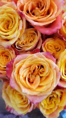 Gorgeous roses - the quality and price can't be beat!