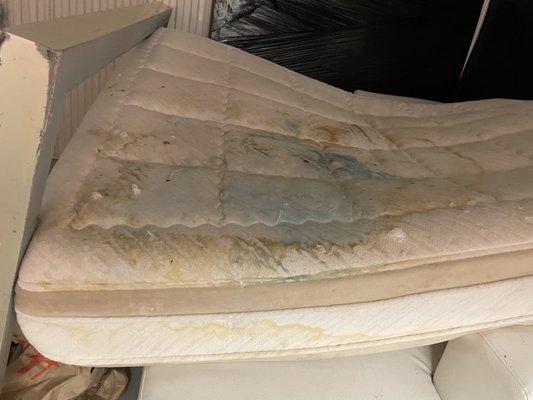 Ruined mattress everything was ruined and smelled like mold and water