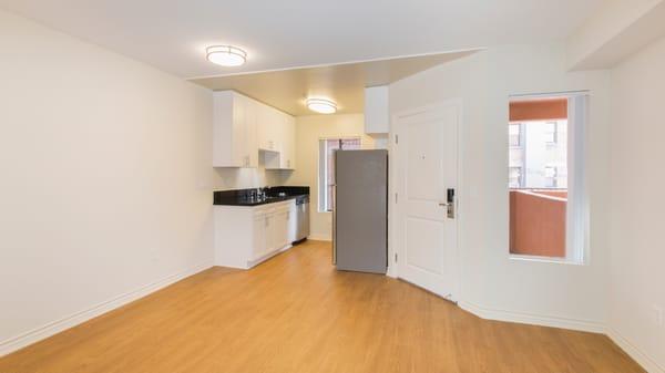 Living Room and Kitchen