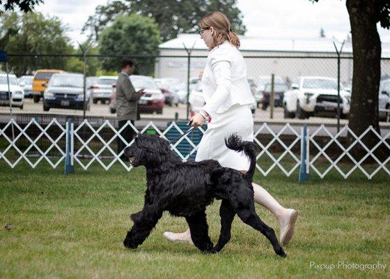 Trainer Ally and Nimbus at a dog show.