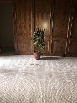 Oceanside Abbey Carpet & Floor