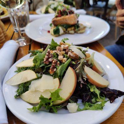 Apple walnut salad & Salmon dish