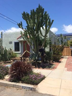 View of the property on Cedar Street