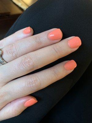 Great SNS dip powder manicures here!