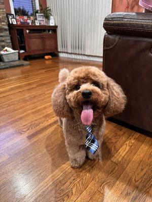 Canelo loving his new haircut