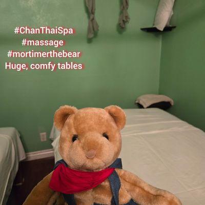 Niles Bear loves the soft, comfy tables as well as Sandy and A.A. THEY'RE THE BEST. #ChanThaiSpa #massage #mortimerthebear