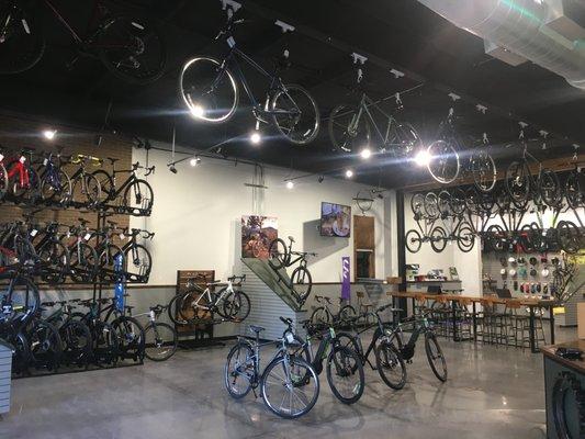 We carry several top bike brands including Giant, Liv, Scott, Haro, Momentum, and Strider! Let us find your perfect bike.