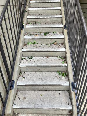 Leaves blown from the ground into the tenant staircase