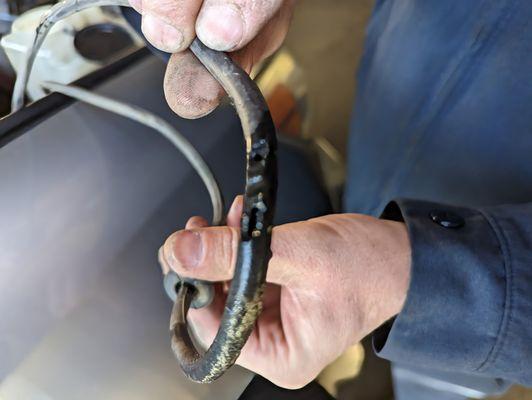 rodent damage to windshield washer fluid hose