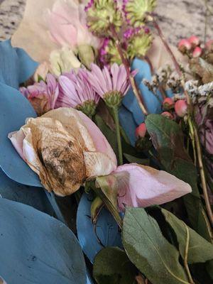 Dead flowers from the Edible Arrangements in Lewes delivered on Mother's Day